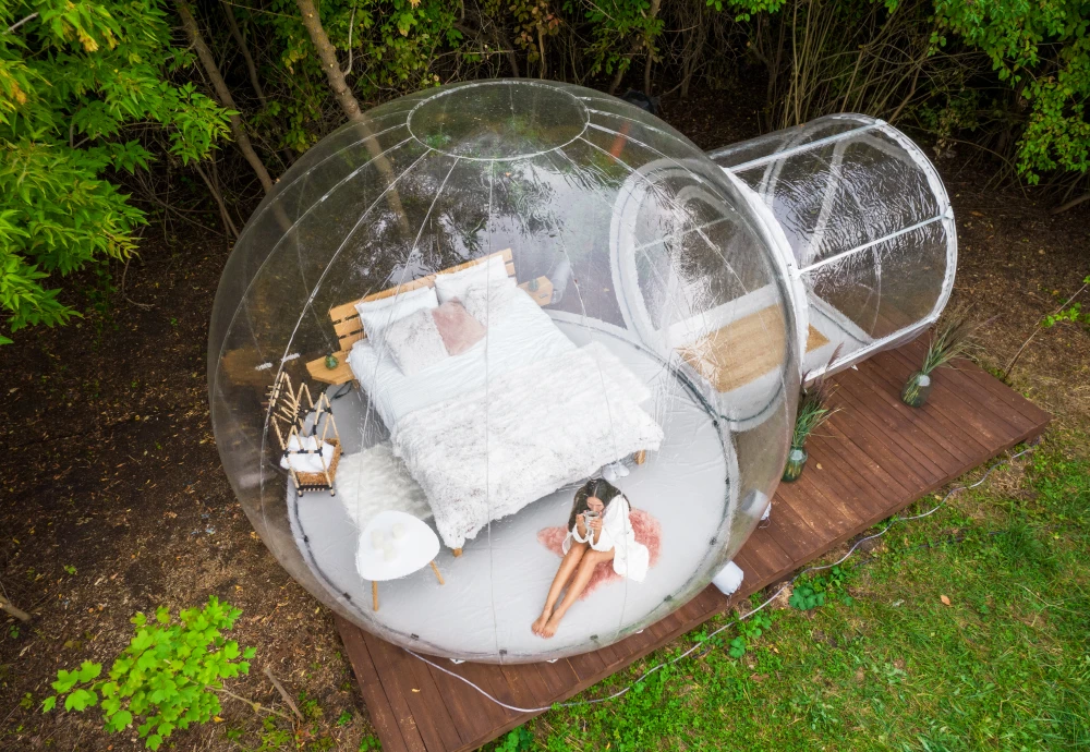 stargazing bubble dome tent